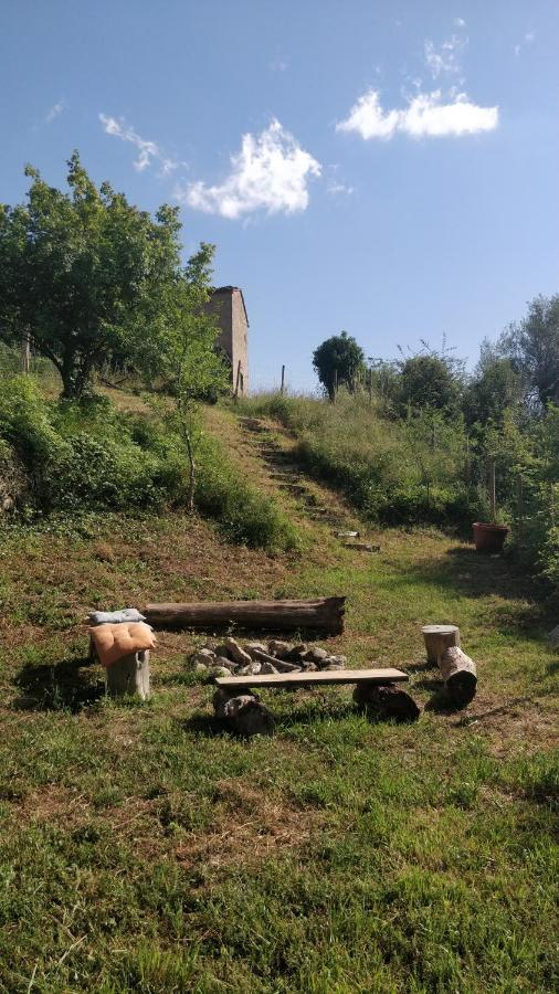 Podere Cerrete - Eco Farmhouse Castel del Piano  Bagian luar foto