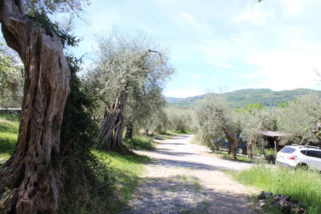 Podere Cerrete - Eco Farmhouse Castel del Piano  Bagian luar foto
